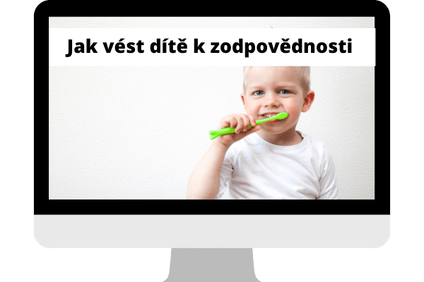 zodpovědnost